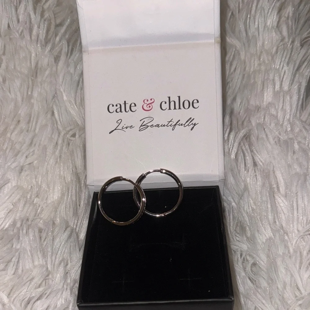 Cate & Chloe Silver Earrings - Picture 3 of 3